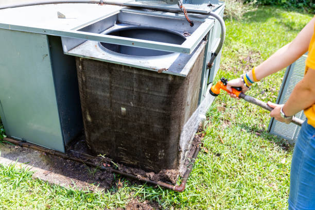 Best Professional Duct Cleaning Services  in Ault, CO