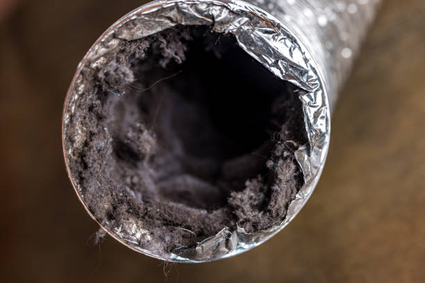 Best Dryer Vent Cleaning Services  in Ault, CO